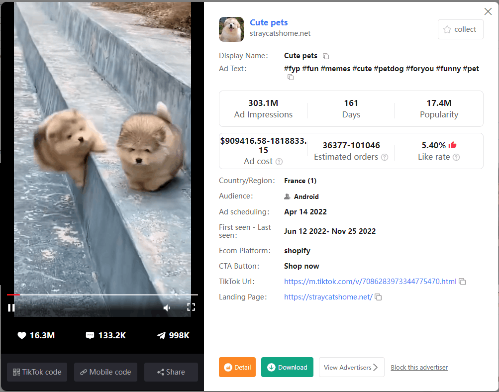 Cute pets
